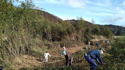 竹を伐採する人々