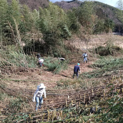 竹を伐採し片付け処理をする人々