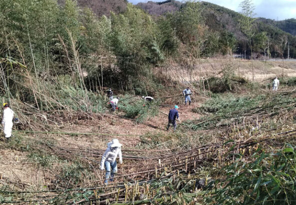 竹を伐採し片付け処理をする人々