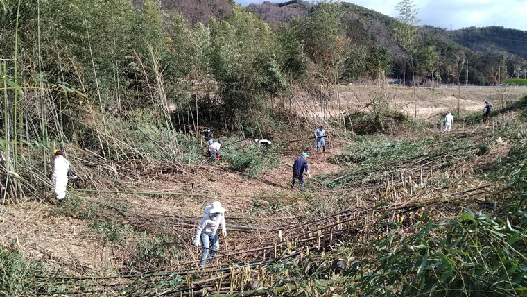 竹を伐採し片付け処理をする人々