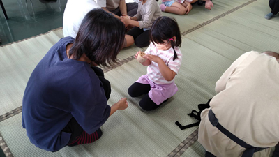 ヘチマに関する勉強会