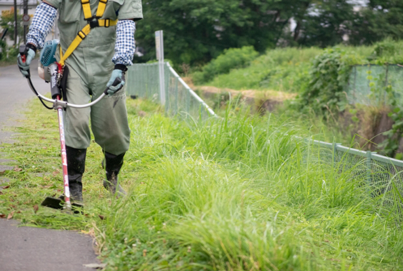 道端の草を除草する男性