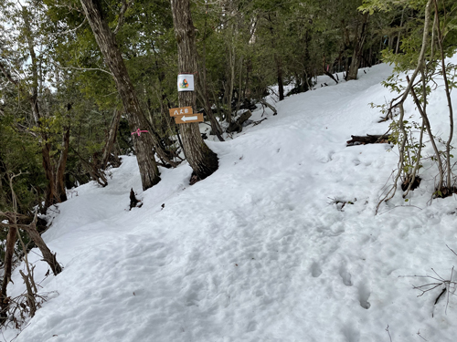 八丈岩登山ルートにある道案内の看板