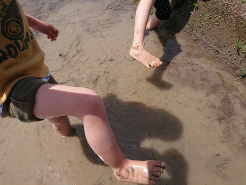 田んぼで泥あそびする子供