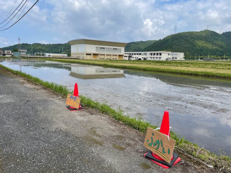 どろんこあそびの会場の田んぼ