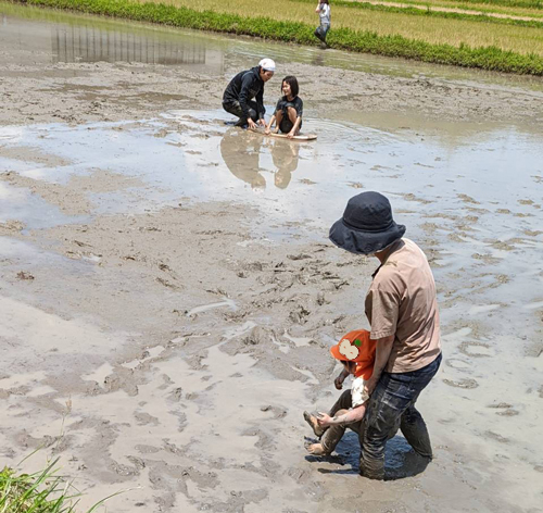田んぼで泥んこ遊びを拒絶する子供