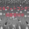 ほたるフォトコンテスト2022の投票はココ！誰が優秀賞？