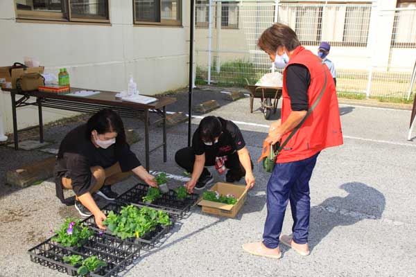 花苗を販売する女性