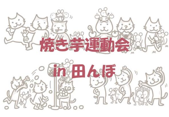 猫たちが運動会の競技をしている