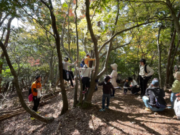 木登りを楽しむ子供達