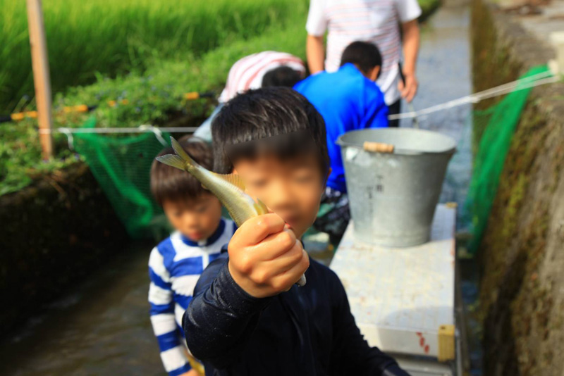 鮎を捕まえた男の子