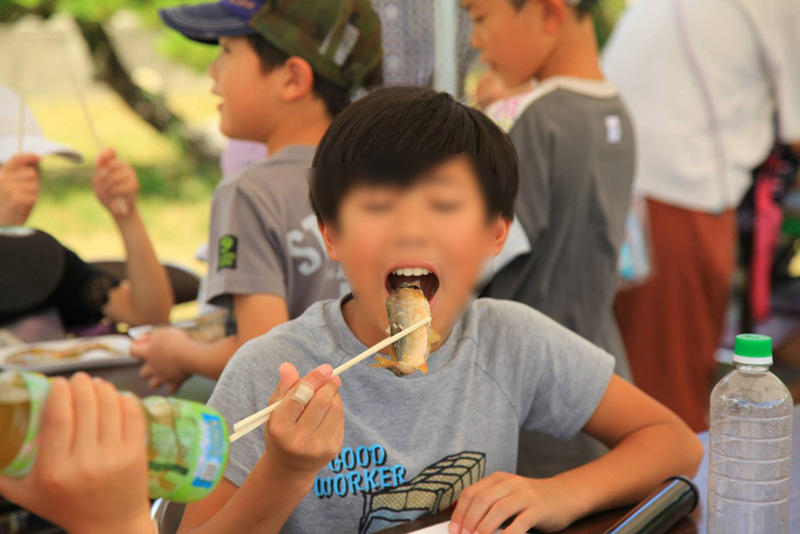 塩焼きした鮎を食べる男の子