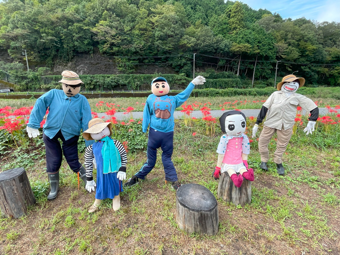 徳山の彼岸花を見に来る人を出迎える案山子