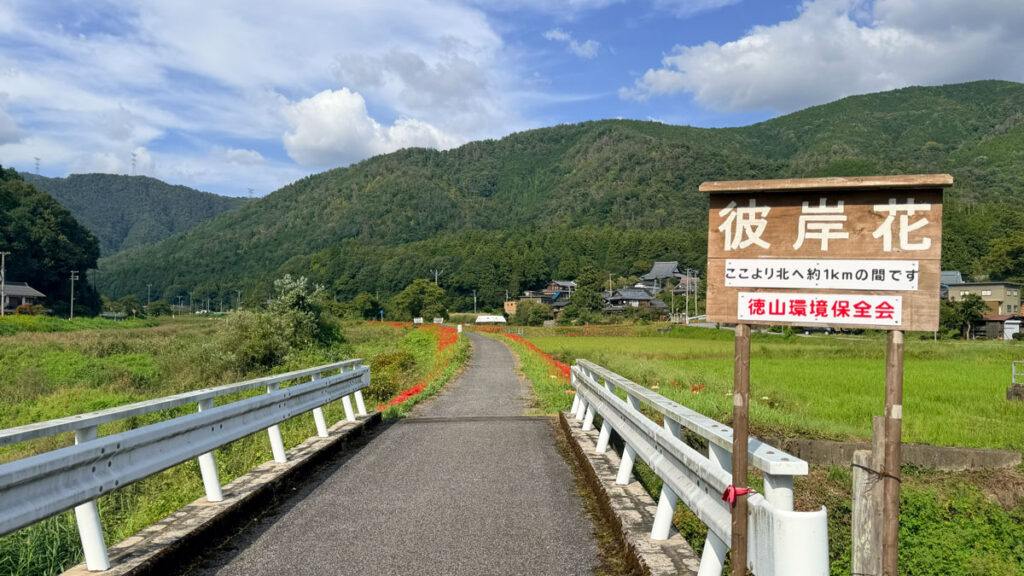 彼岸花エリアの入り口