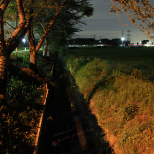 4番の応募者のほたる(大門町地内)